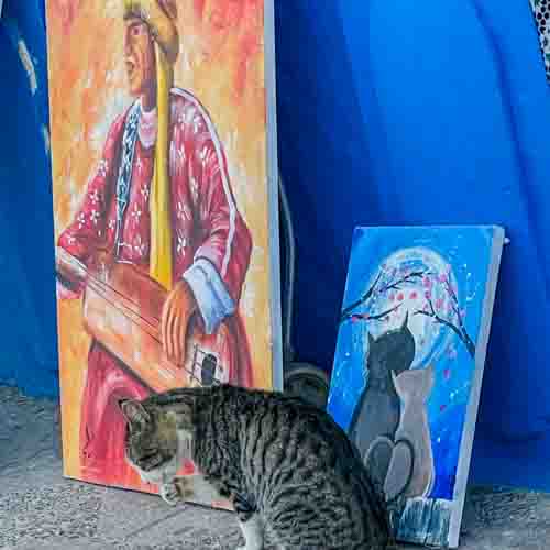Cat is sitting next to a painting of a cat and a painting of a Moroccan man in Asilah, Morocco