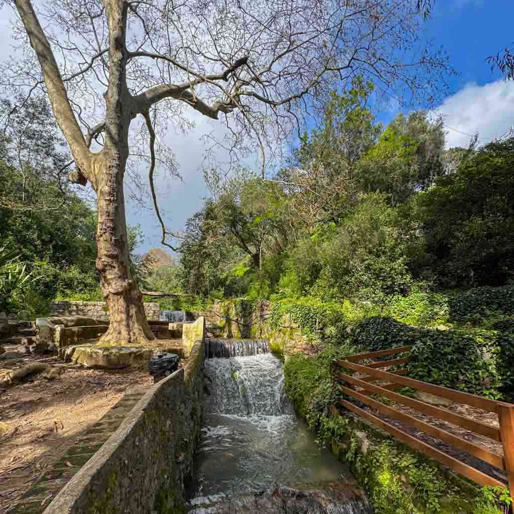 Mountain stream in the Algarve province with trees in the background.